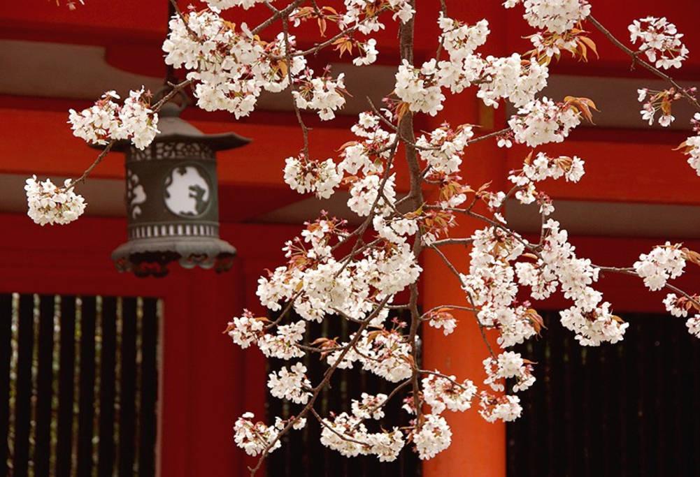 Nanako House Villa Kyoto Bagian luar foto